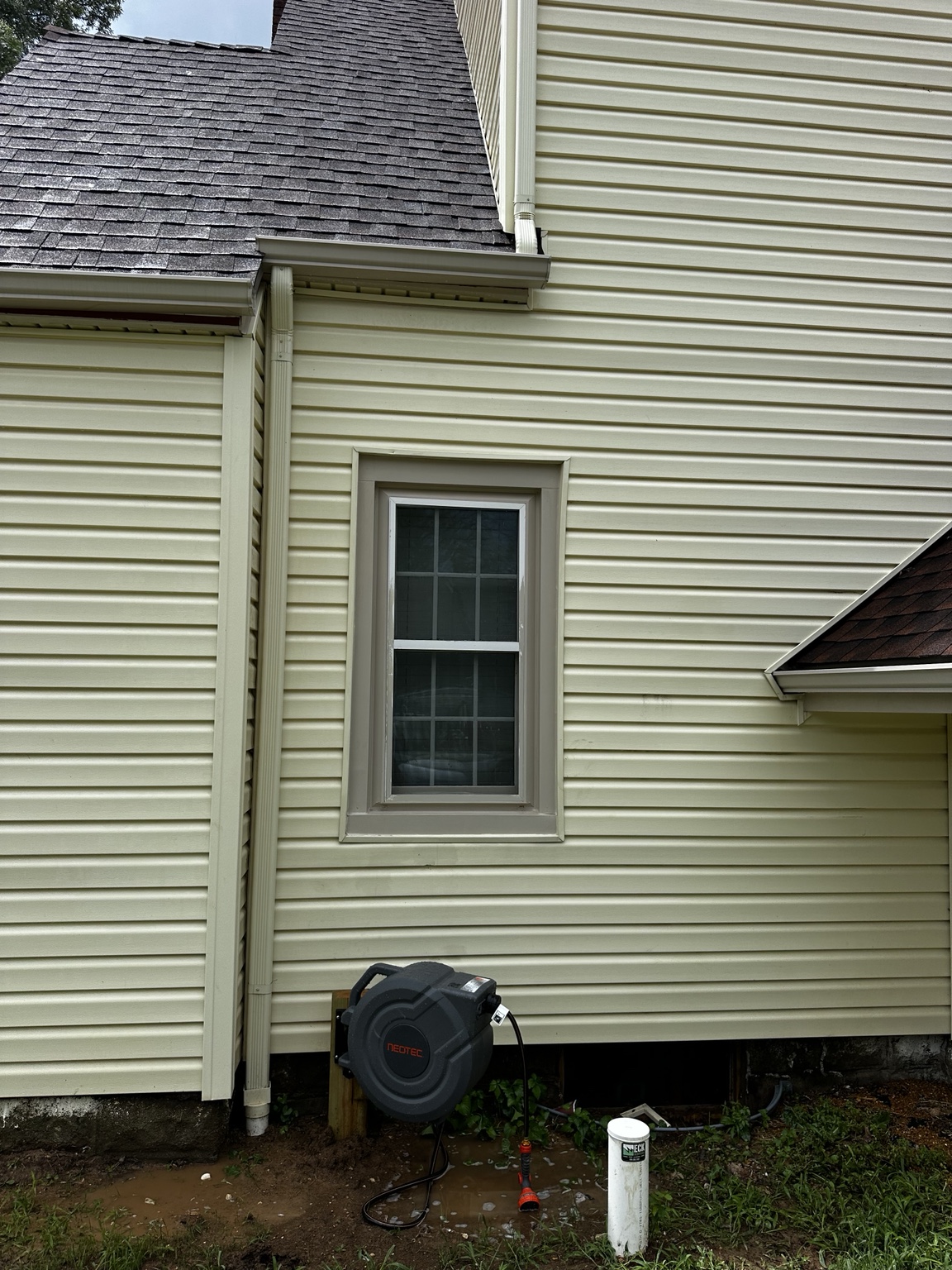 Bright vinyl siding after algae removal and house washing