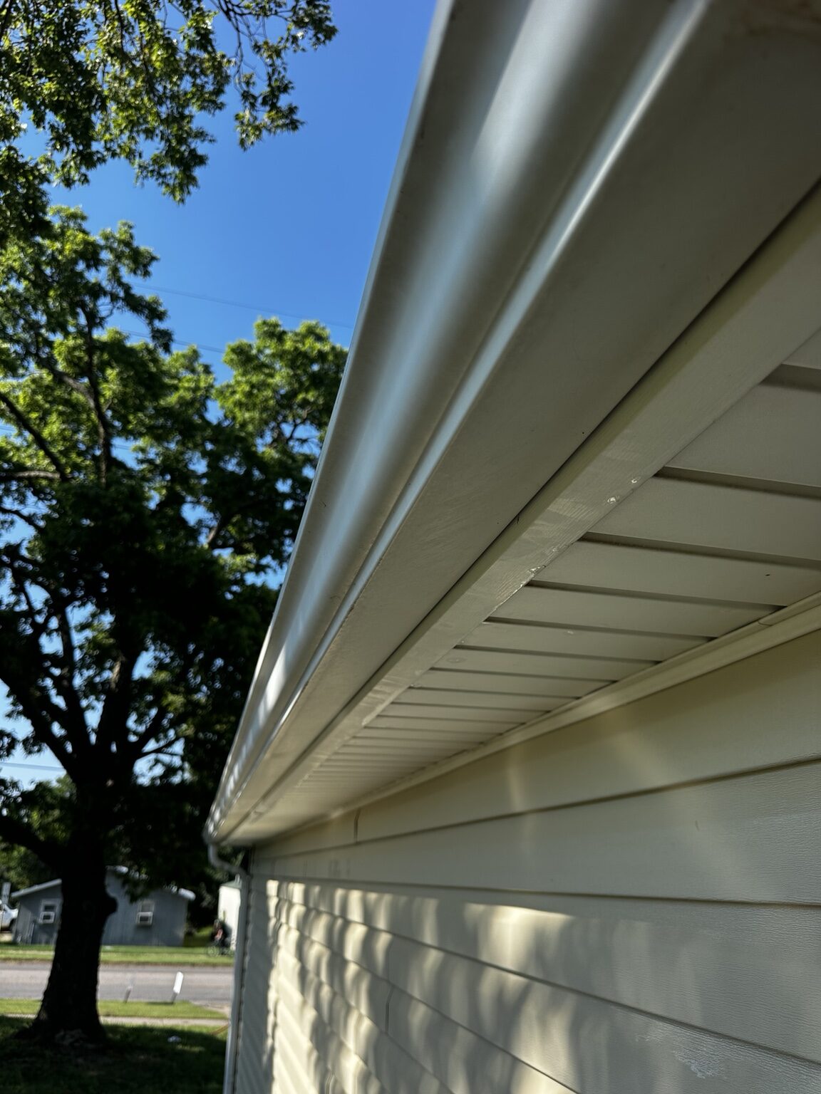 Asphalt shingle roof treated for dark algae streaks