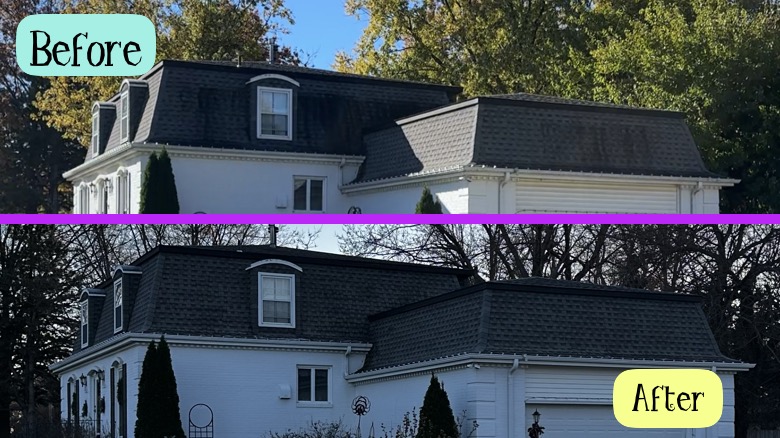 Roof Algae Removal & Soft Wash Cleaning in El Dorado, Kansas