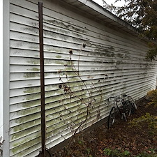 Top-Quality-Siding-Clean 1
