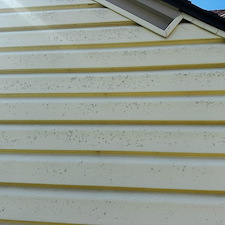 Vinyl-Siding-Revived-in-El-Dorado-KS-Algae-Gone 1